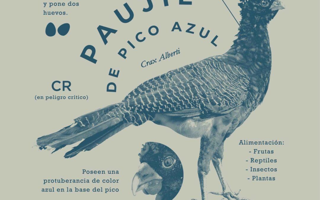 Colección Resplandor