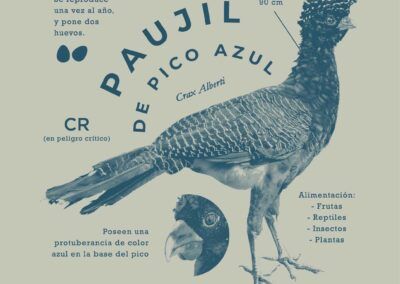 Colección Resplandor